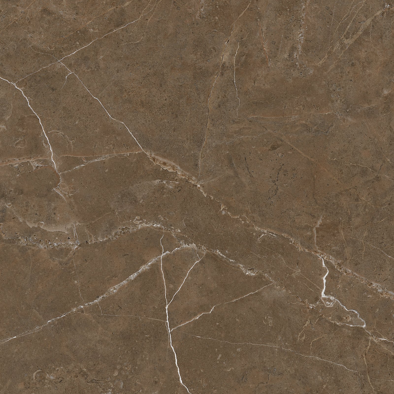 splendor bronze 85130 piso